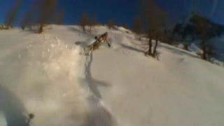 Skipopow 2