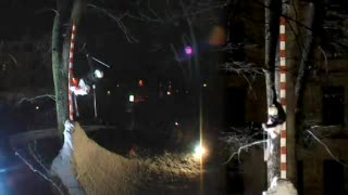 Highest Tree Ride på Uppsala Alpine Ski Week