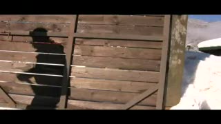 FWT-vardag med Wille och Reine