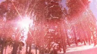 Winter Project: Episode 5