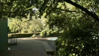 Tom Knox Day In The Life