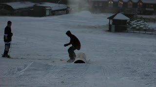SHEEPLIFE fårskit och bajsrör