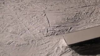 Amazing Days - POFF Production