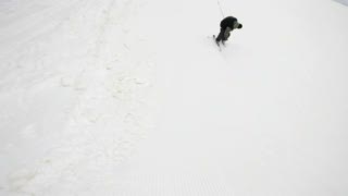 Godzilla by eDoggo Clothing