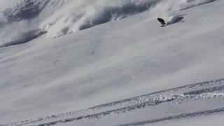 Sammy Carlson - 2011 Bonus Edit
