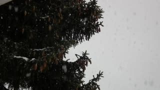 Stellner Productions - Always look forward