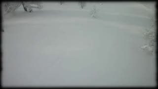 TPG - Män som hatar snö a.k.a Boats n' gnomes