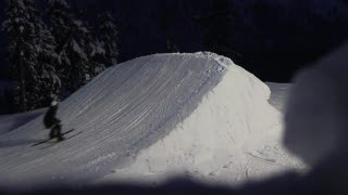 Mustaschlife Skidor FVA