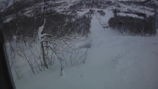 Ett snöfall och en skog