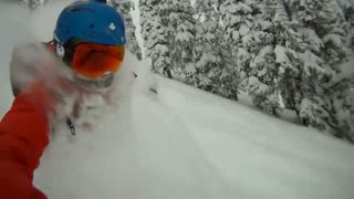 Skjut mig i huvet - Fernie