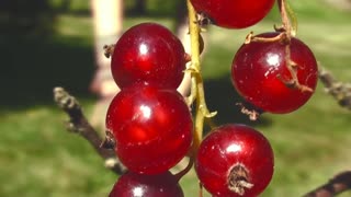 Jonte freerunning/Tricking