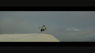 Svinfläsk - Linus Andersson preewhatevah