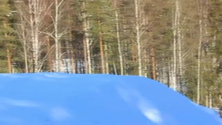 Käringbergs Edit