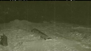 onsdagskväll hos kalle