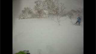 Niseko Powder Trip