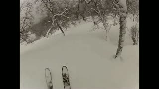 Skog-åkning utenfor Harstad, Norge.