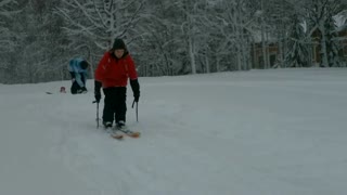 Early season vännäs