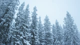 Vinter ep.1 - Chase for nothing