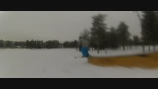 Ormberget shred