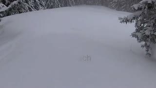 Never Stop Skiing