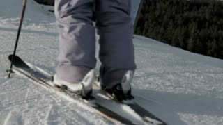 Hippos has no friends