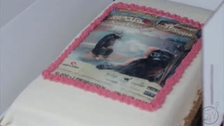 ShakeIt Slope & Rip Curl Seafun Open