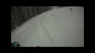 Bansko shred