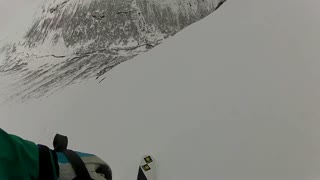 Voss Freeride