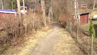 Chill i skogen! - Mitt i Gatan