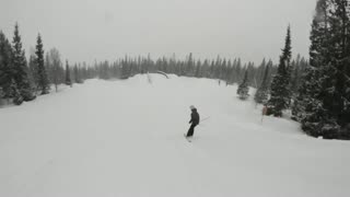 Den fula schizofrena ankungen