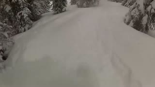 A taste of champagne powder
