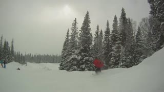 anton österberg- 2012