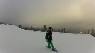 Calle Josefsson turtle