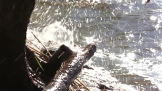 Wakeboard may -12
