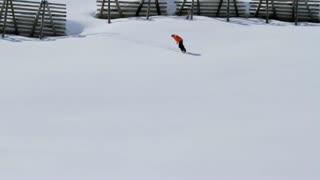 Armadateamet i Euroland