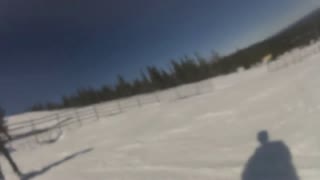 Marcus Wicander vinter 11/12