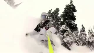 Logan Pehota - Season in Review