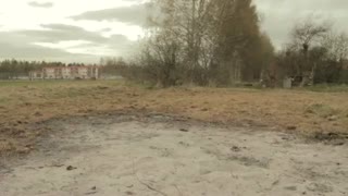 parkour in the woods