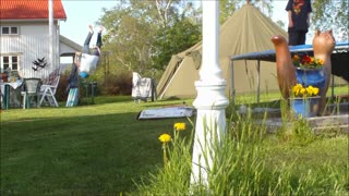 M.G.A Prod. Afternoon edit