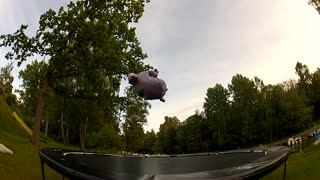 Vad för trick ?