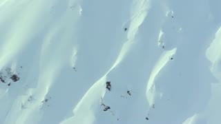 Trailer: The Education Of Style