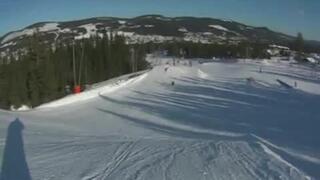 hyllengren axplock 07/08