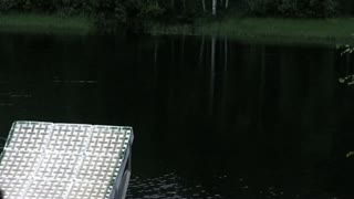 All8+2gÄddorÄrtrÅkigasÅvikÖrpÅabborreistÄllet