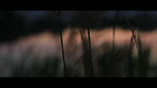 VB Films - A Day Amongst Others