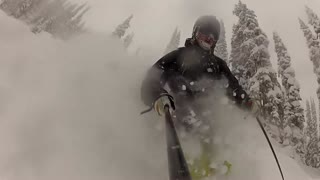 PowPow in Revelstoke Forests