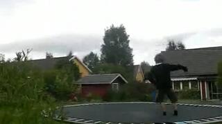 studsmatta med Wille Rasse och Ludde