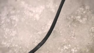 Säsongspremiär i Vemdalen