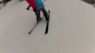 early november boxshred