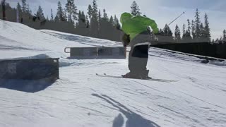 Sheeplife- Last year