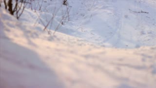 IN PEACE webisode #1